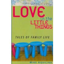 Love in the little things: tales of family life by Mike Aquilina