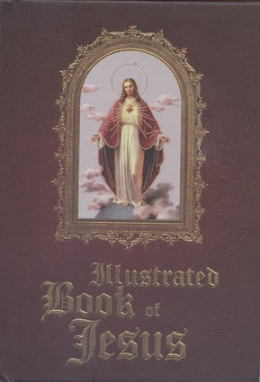 Illustrated book of Jesus by Fr Michael Sullivan