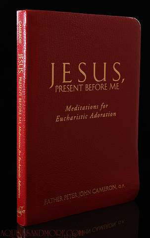 Jesus, present before me by Father Peter John Cameron
