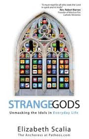 Strange Gods unmasking the Idols in everyday Life by Elizabeth Scalia